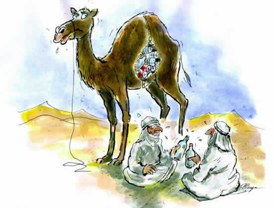 Peter Ruge for cleanwells