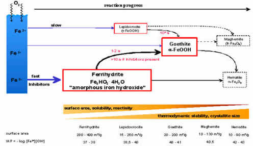 Maturation of iron oxides